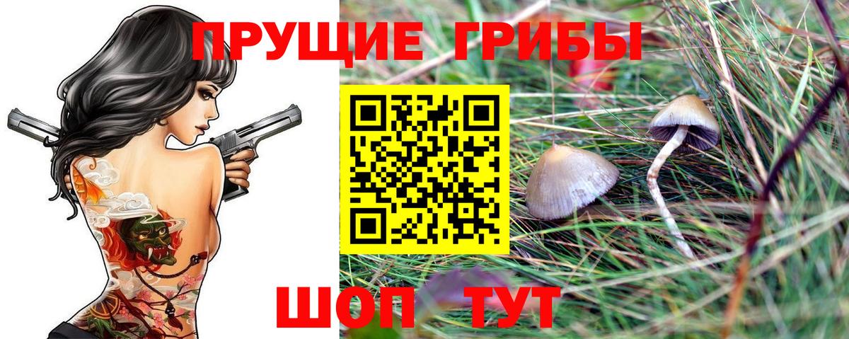 Медногорск  Псилоцибиновые грибы MAGIC MUSHROOMS  Галлюциногенные грибы GOLDEN TEACHER  Вход с VPN 